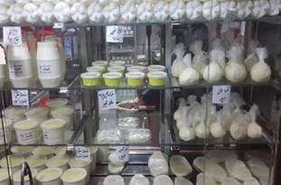 افزایش قیمت شیر خود را در افزایش درآمد دامداران نشان نمی‌دهد / خرید شیر از دامداران زیر ۱۰۰۰ تومان