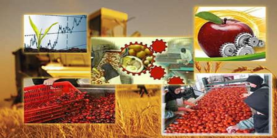 افزایش ۲۵ درصدی تولید محصولات دامی و زراعی در آذربایجان شرقی