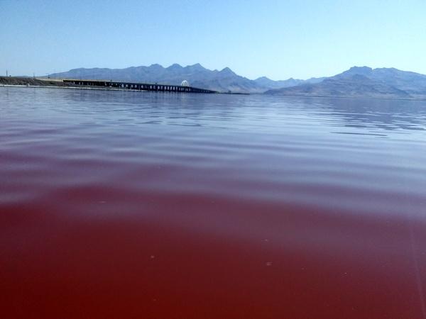 افزایش تراز دریاچه ارومیه نسبت به سال گذشته / ثبات فعلی دریاچه ارومیه با اقدامات دولت تدبیر و امید