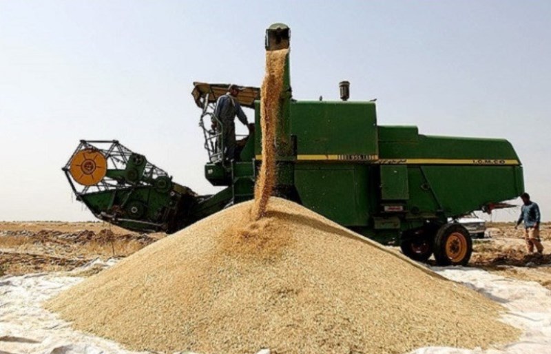 ۵۶۰ هزار تن گندم از کشاورزان آذربایجان شرقی خریداری شد
