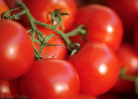 صادرات محصول گوجه فرنگی گلخانه ای بلا مانع است