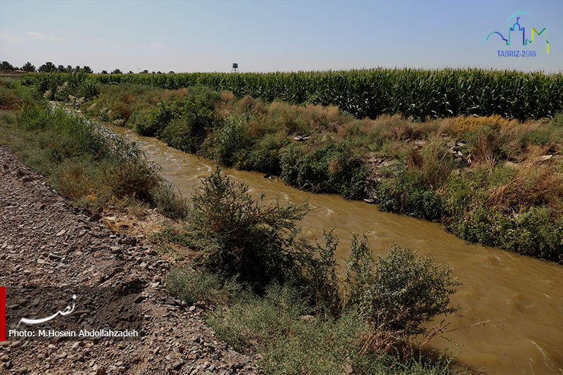 جهاد کشاورزی استان مخالف هرگونه آبیاری با فاضلاب خام است