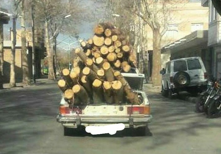 حمل و نقل چوب درخت در خداافرین ممنوع شد