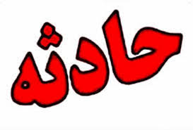 مرگ پیرمردی بر اثر حمله خرس در آذربایجان‌شرقی