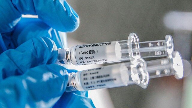 محققان چینی: واکسن کرونا روی میمون‌ها با موفقیت عمل کرد