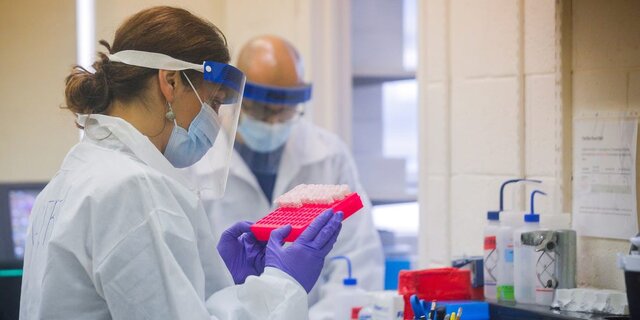 محققان: کروناویروس جدید شیوع بیشتری دارد ولی مریض‌تر نمی‌کند
