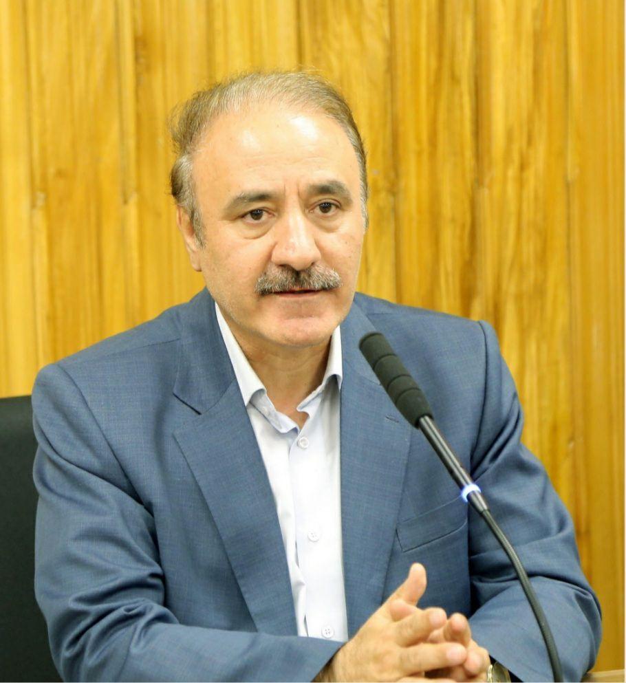 سید رضا رهنمای توحیدی:گازرسانی به مناطق محروم، مهم ترین عملکرد دولت در زمینه توزیع عادلانه رفاه