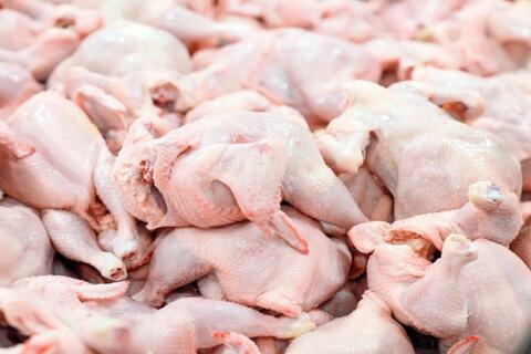 توزیع مرغ گرم در بازار با قیمت ۱۸ هزار و ۵۰۰ تومان در تهران و شهرستان ها