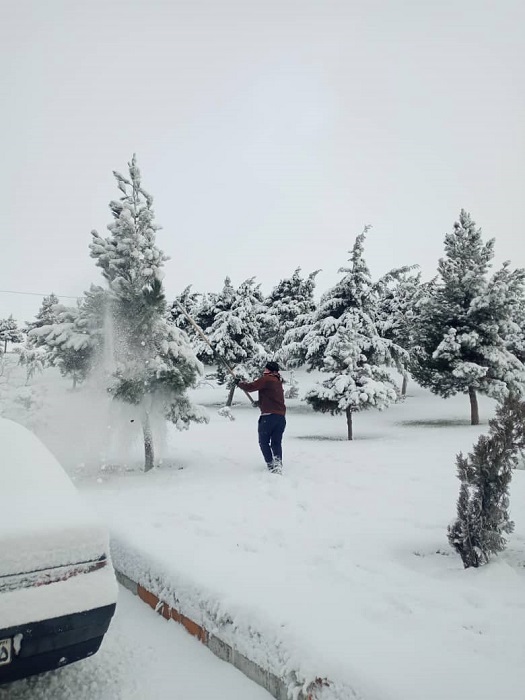 عملیات برف تکانی درختان براى جلوگيرى از شكسته شدن