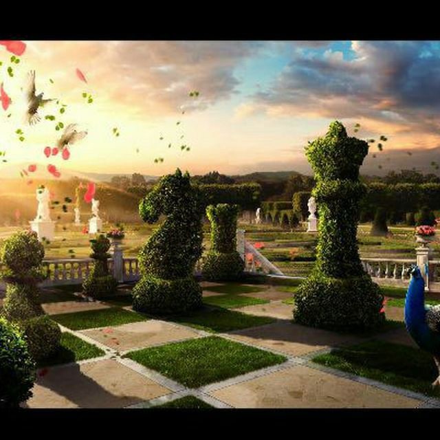 شطرنج باز روشن دل تبریزی در سکوی دوم ایستاد