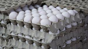 قیمت هر شانه تخم مرغ ۳۴ هزار تومان