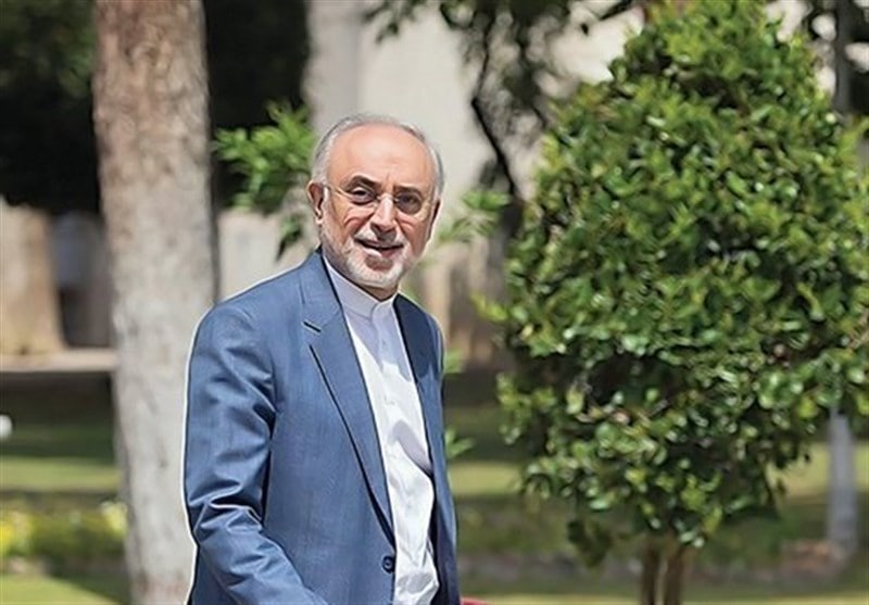 صالحی: فعلاً برای کاندیداتوری تصمیم نگرفته‌ام