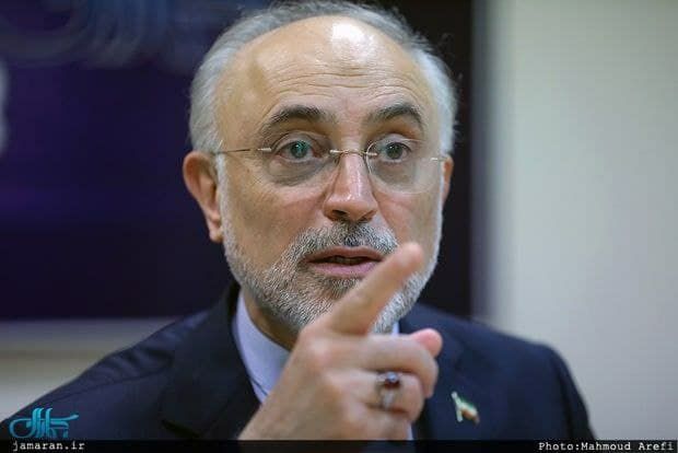 علی اکبر صالحی احتمال حضورش در انتخابات را تایید کرد
