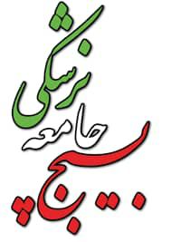 پیام تسلیت سازمان بسیج جامعه پزشکی استان به مناسبت حادثه واژگونی اتوبوس خبرنگاران