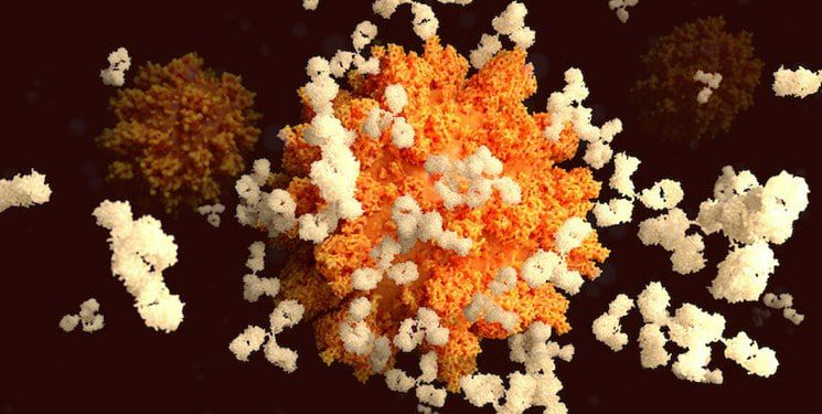 ستاد کرونا: ویروس دلتا پلاس در ایران مشاهده نشده است