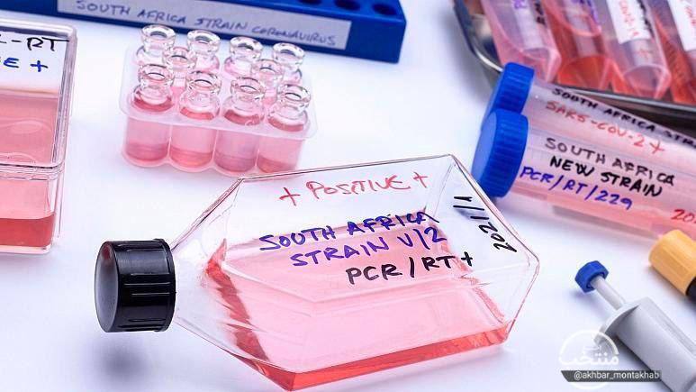 محققان: یک زن ۹۰ ساله با ابتلای همزمان به دو گونه آلفا و بتای کرونا فوت کرد
