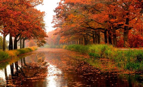 مدیریت بحران: پاییز امسال، گرمتر از حالت عادی است