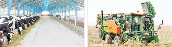 بخش خصوصی؛ قربانی بزرگ «خصوصی‌سازی»