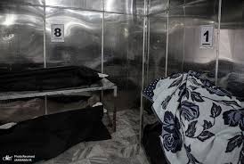 جانباختن روزانه ۱۰۰ تا ۱۱۰ نفر در مشهد به دلیل کرونا