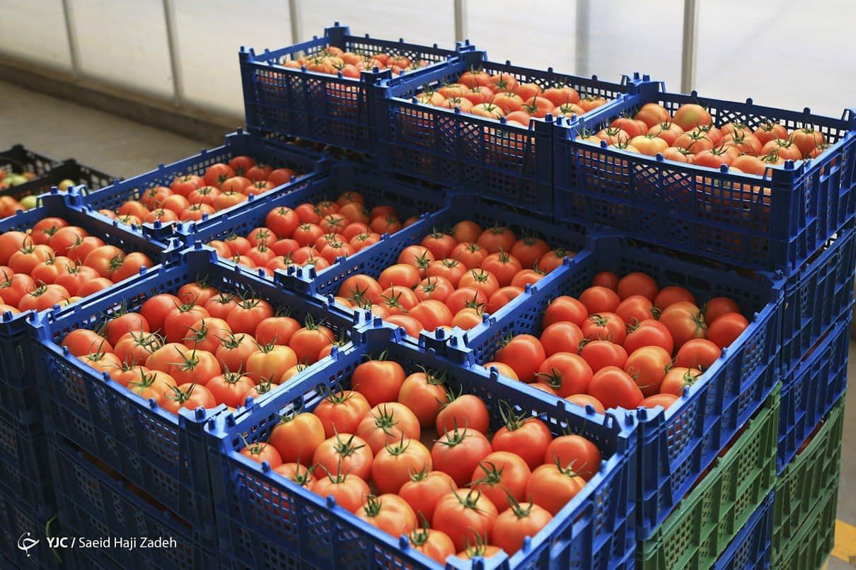 اتحادیه بار فروشان:گرانی رب ارتباطی به گوجه ندارد