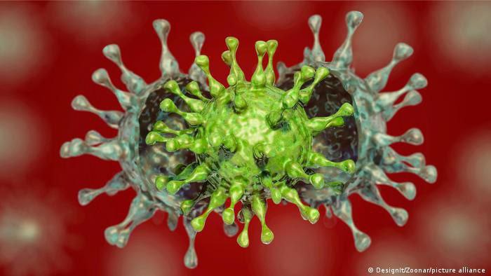 کشف سویه جدید ویروس کرونا در آفریقای جنوبی