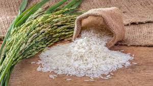 قیمت عجیب برنج در سایت ها/ برنج دودی از کیلویی ۷۰ هزار تومان فراتر رفت