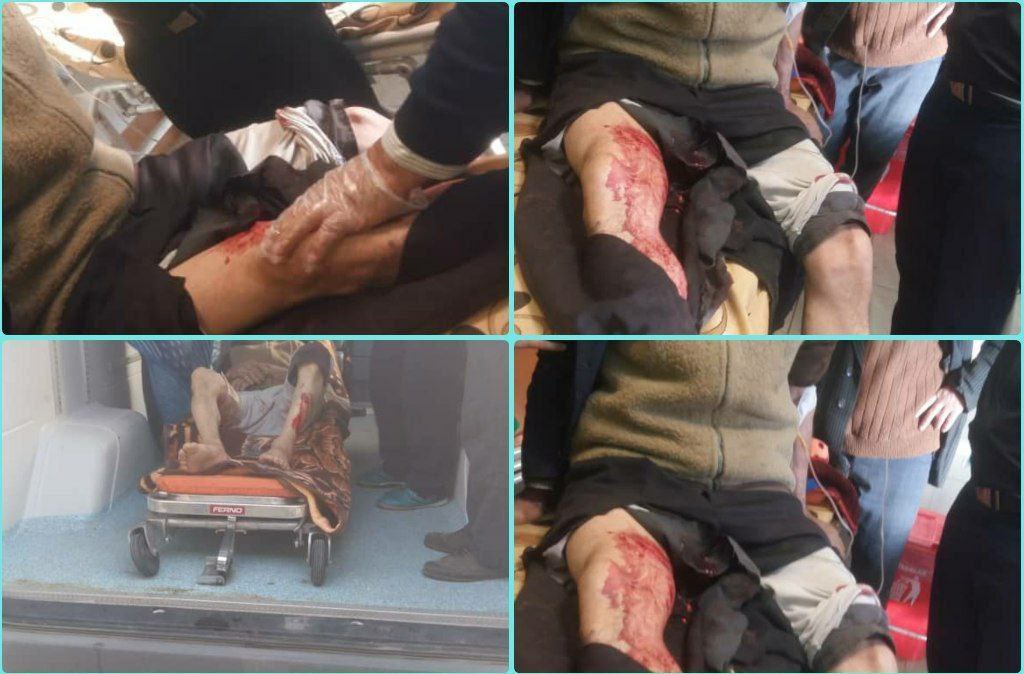 حمله خرس به دو چوپان در هوراند(آذربایجان شرقی)