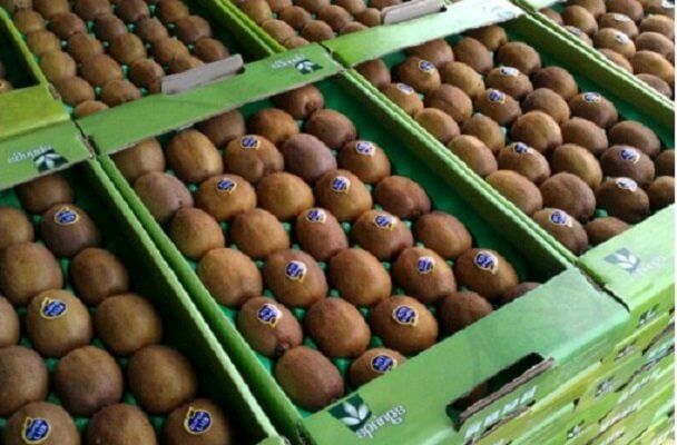 گمرک بندرعباس: برگشت محموله ۲۰ تنی کیوی از امارت