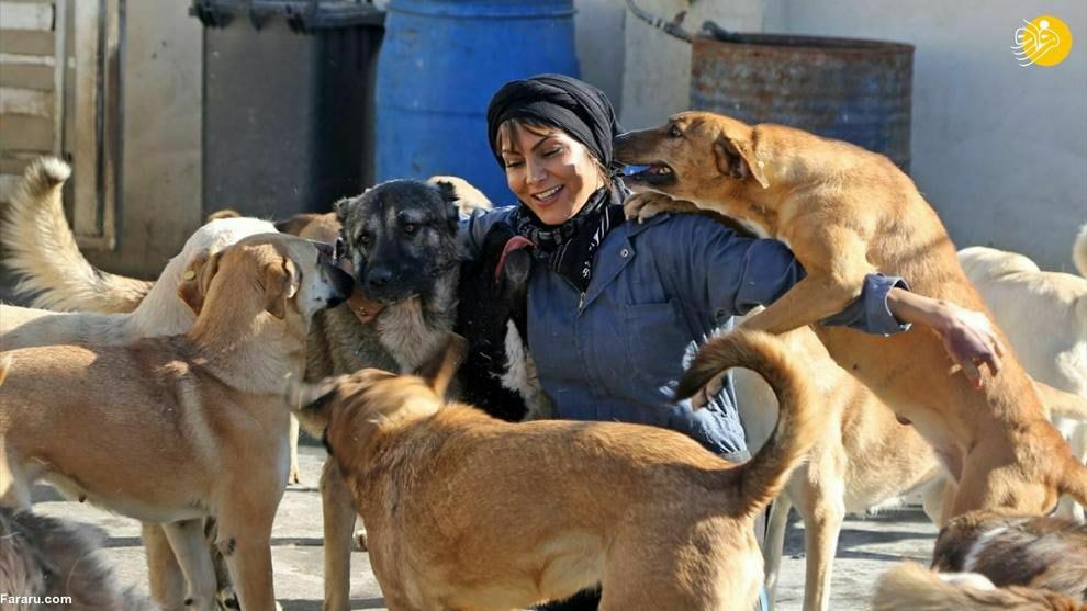 مریم طلایی قهرمان موتورسواری و حامی سگ‌های خیابانی