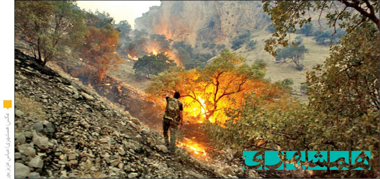 افزایش احتمال آتش‌سوزی جنگل‌ها در سال۱۴۰۱