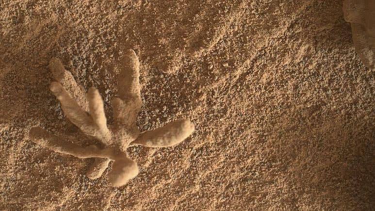 کشف تکه‌سنگ عجیب شبیه به گل در سطح کره مریخ توسط کاوشگر «کنجکاوی»