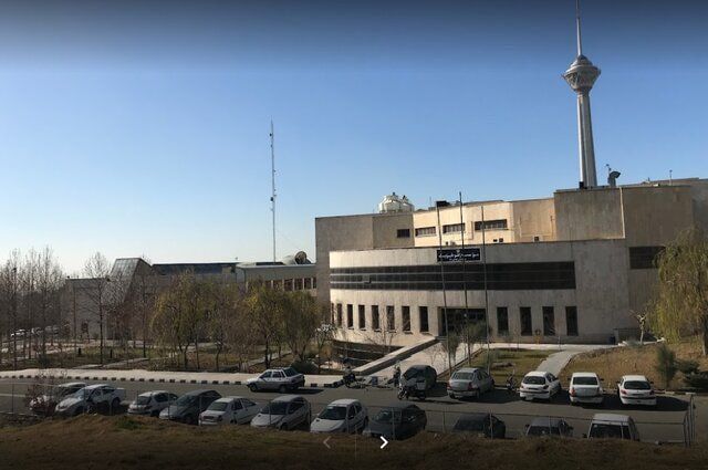 هیچ درختی در مراکز دانشگاه تهران قطع نشده