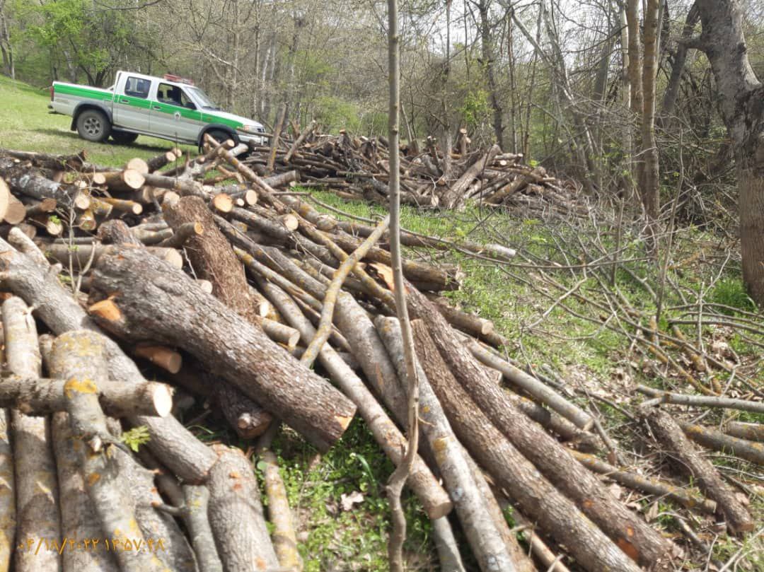 مدیرکل منابع طبیعی و آبخیزداری استان خبرداد؛دستگیری قطع کنندگان درختان جنگلی در کلیبر