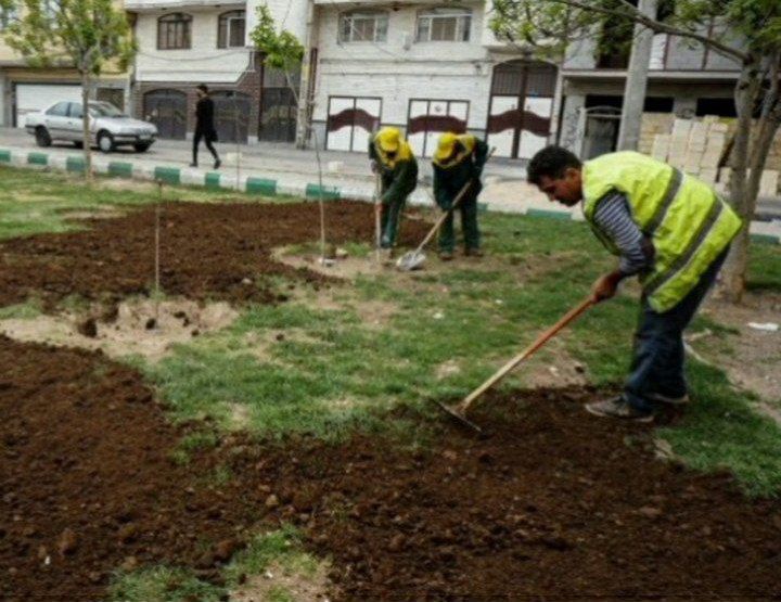 تداوم اجرای طرح اردیبهشت بهار تبریز در فضاهای سبز سطح شهر