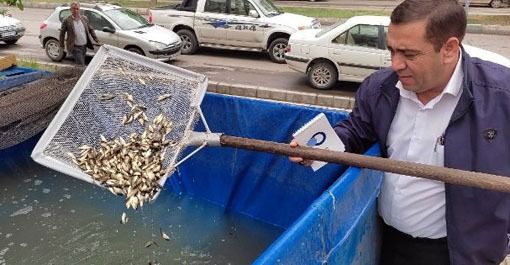 ۳۰ هزار قطعه بچه ماهی در مزارع پرورش ماهی شهرستان مرند استان اذربایجان شرقی رهاسازی شد .