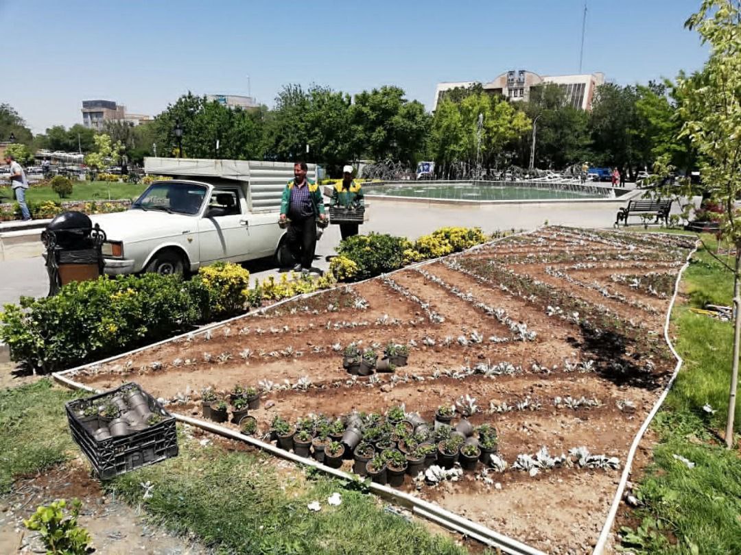 درکاشت مرحلهح دوم بهاره سطح حوزه شهرداری منطقه ۳؛کاشت ۱۵۰ هزار گلدان انواع گل آغاز شد