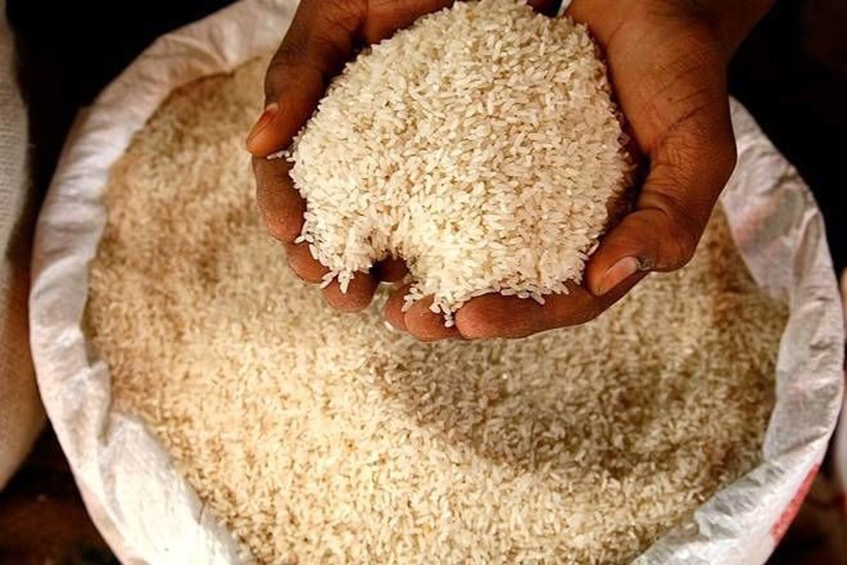 ۷۰درصد نیاز برنج کشور در داخل تولید می‎شود