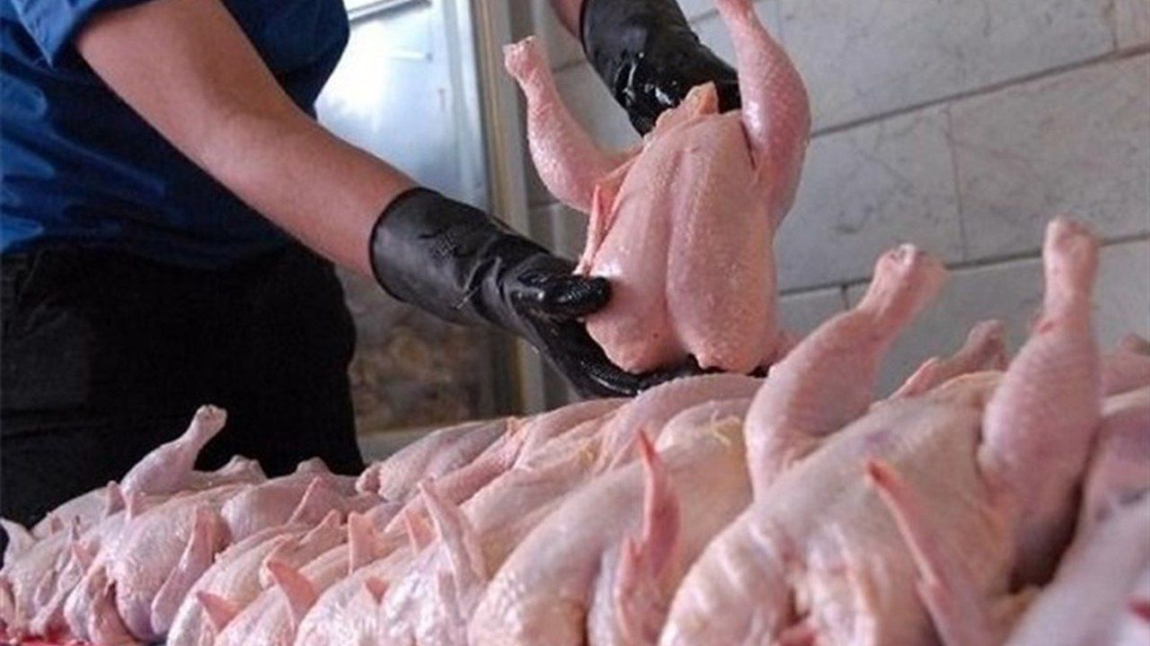 قیمت کنونی مرغ به نرخ مصوب ۵۹ هزار و ۸۰۰ تومان رسیده است.