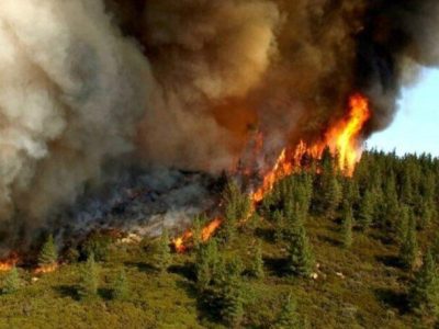 مدیرکل منابع طبیعی و آبخیزداری: آتش‌سوزی در جنگل‌های خداآفرین شبانه اطفاء شد