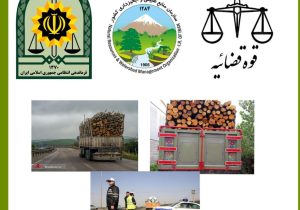 مبادی ورودی و خروجی کلانشهر تبریز و کلیه شهرستان های آذربایجان شرقی به روی قاچاقچیان چوب بسته خواهد شد.