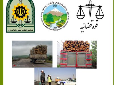 مبادی ورودی و خروجی کلانشهر تبریز و کلیه شهرستان های آذربایجان شرقی به روی قاچاقچیان چوب بسته خواهد شد.