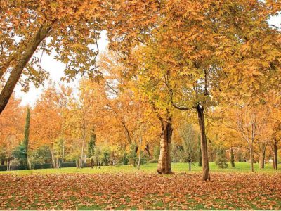 هشدار خشکسالی با پاییز کم‌باران