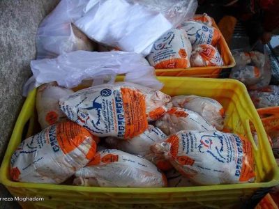 رئیس جهاد کشاورزی تهران: محدودیتی در توزیع مرغ منجمد نداریم