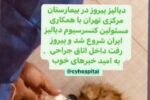 دیالیز «پیروز» شروع شد