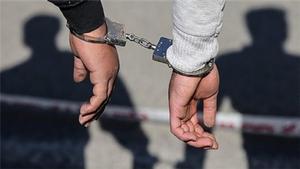 دستگیری دو فرد با پوشش و گریم سگ (فیلم)