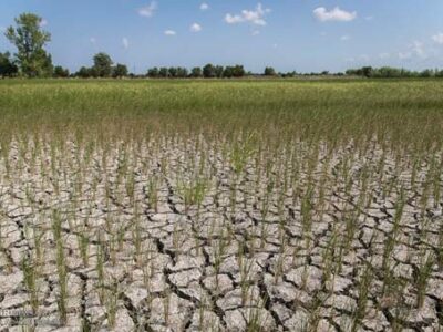 به صدا درآمدن زنگ خطر بحران خشکسالی در آذربایجان شرقی