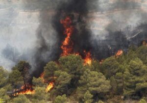 گردشگران عامل اصلی آتش‌سوزی در جنگل‌های قره داغ