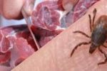 فوت یک شهروند زاهدانی با علائم بیماری کنگو