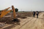 کاشت ۲۰ هزار اصله درخت در اتوبان غرب تبریز
