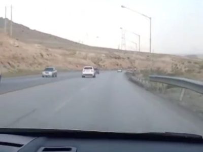 لحظه تصادف شدید شاخ به شاخ در گردنه قوشچی